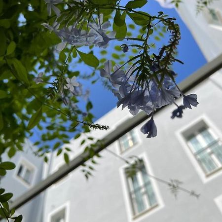מאהון Hotel San Miguel Menorca מראה חיצוני תמונה